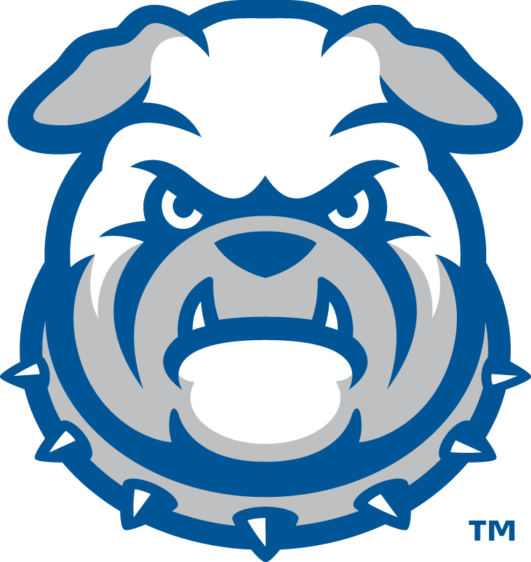 Drake Bulldogs 2015-Pres Wordmark Logo v6 diy iron on heat transfer